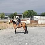 Peter Arriaga - @peter_arriaga_21 - Instagram