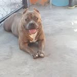 Peter Arriaga Mejia - @pedroarriagamejia - Instagram