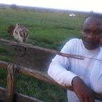 Peter Asai - Facebook