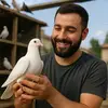🕊️..عشاق تربيه حمام..🕊️ - @peter_assad.1 - TikTok
