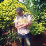 peter august - @peteraugust8809 - Instagram
