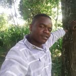 Peter August - @peter.august.50309 - Instagram
