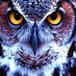 peterayer - @peterayer9 - Instagram