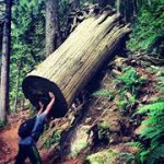 Peter Bach - @petercbach - Instagram