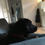 Peter Bach - @peter.bach.14019 - Instagram