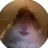 Peter Behr - @peterbehr - TikTok