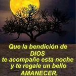 Peter Baez Canevaro - @peterbaezcanevaro - Instagram