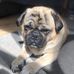 Peter Bailey - Facebook