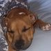 Peter Bakke - Facebook