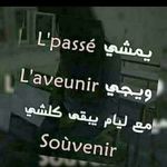 Baldinini Peter - @baldinini.peter - Instagram