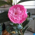 Peter - @peter.bannert.pb - Instagram