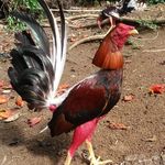 Peterbanner - @peterbanner_63 - Instagram