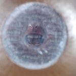 peter banta - @peterbanta - Instagram