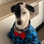 Peter Barbosa - @peterbarbosa_cp - Instagram