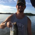 Peter Barrows - @peterbarrows - Instagram