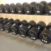 Peter bartolo - @dumbbellsmlifestyle - TikTok