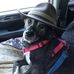 Peter Bartolomeo - Facebook