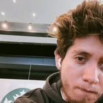 Peter Bartolomeo - @peterbartolomeo_ - Instagram