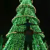 Petter Basilio - @petter.basilio - TikTok
