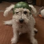 Peter Baston - @baston1967 - Instagram