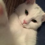 Peter Baynes - @baynes6baynes6 - Instagram