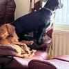 Peter Beacham - @peter.beacham - TikTok