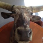 Peter Beasley - @peterrbeasley2 - Instagram