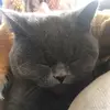 Peter beasley - @peterbeasley3 - TikTok