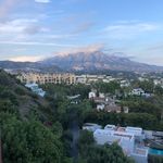 Peter Beaton - @beaton7337 - Instagram