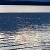 Peter Beck - @peter.beck8 - TikTok