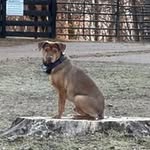 Peter Beeman - @pelican7442051 - Instagram