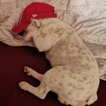 Klaus-Peter Behrendt - @behrendtklauspeter - Instagram