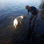Peter Behrendt - @peter.behrendt.944 - Instagram