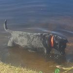 Peter Belanger - @peteramza0105 - Instagram