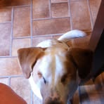 Pete Belfi - Facebook