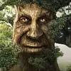 Peter-Bell - @peter_the_bell_etieri - TikTok