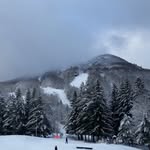 Peter Bellek - @peter.bellek - Instagram