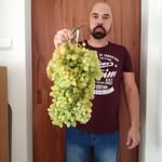 Peter Bella - @peter.bella79 - Instagram