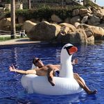 Peter Bellis - @bellispeter - Instagram