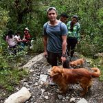 Peter Benavides Callejas - @peter_benca - Instagram