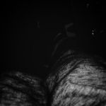 Peter Berglund - @bamse.berglund - Instagram
