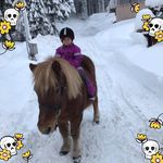 Peter Berglund - @peter.berglund.7505 - Instagram