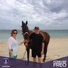 Peter Berglund - @peterberglund3 - TikTok