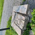Peter Bergman - @peterbergman___ - Instagram