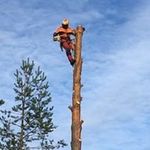 Peter Bergman - @rosersbergs_tradfallning_ab - Instagram