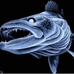 𝖕𝖊𝖙𝖊𝖗_𝖇𝖊𝖗𝖎𝖓𝖌𝖊𝖗 - @peter_beringer_fishing - Instagram