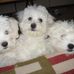 Peter Beringer - Facebook