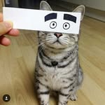 Peter Bernotat - @peter_berno_tat - Instagram
