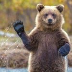 Peter Bernstein - @bernstein.peter - Instagram