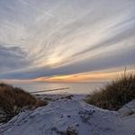 Peter Bernstein - @peterbernstein4 - Instagram